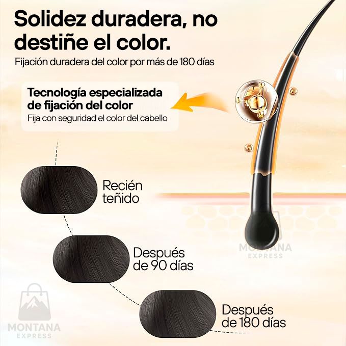 Champú de Tinte Instantáneo 3 en 1 -  Comprá 1 y llevate 2 + Regalo exclusivo