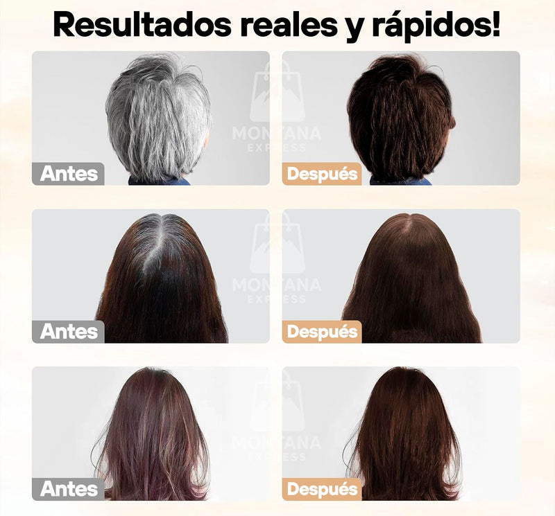 Champú de Tinte Instantáneo 3 en 1 -  Comprá 1 y llevate 2 + Regalo exclusivo